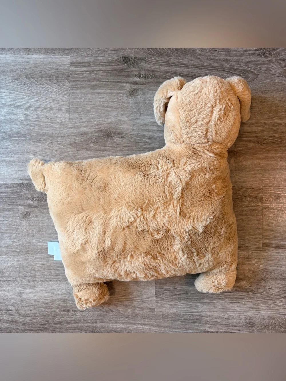 Little Miracles dog pillow